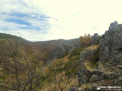 Hayedo La Pedrosa,mar de Robles; floracion de cieza rutas senderismo teruel urederra ruta las machot